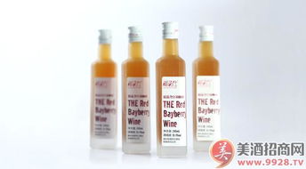 湘西風味，梅香醉人——靖州湘百仕楊梅酒產品展示